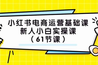 小红书电商运营基础课，新人小白实操课（61节课）