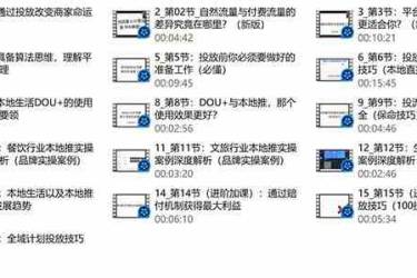 本地同城推核心方法论，本地同城投放技巧快速掌握运营核心（16节课）