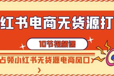 小红书电商无货源打卡，抢先占领小红书无货源电商风口（10节课）