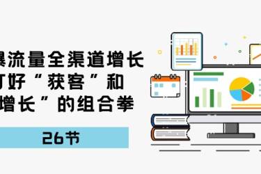 引爆流量，全渠道增长，打好“获客”和“增长”的组合拳（27节课）