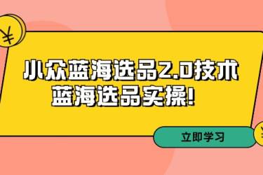 拼多多培训第33期：小众蓝海选品2.0技术-蓝海选品实操