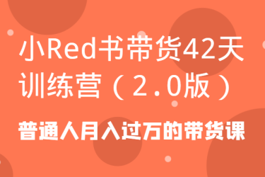 小Red书带货42天训练营（2.0版）普通人月入过万的带货课