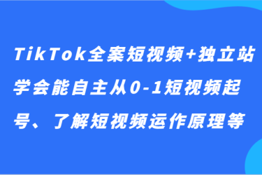 TikTok全案短视频+独立站，学会能自主从0-1短视频起号、了解短视频运作原理等