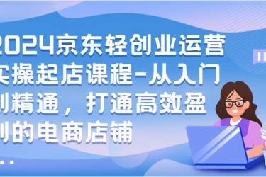 2024京东轻创业运营实操起店课程-从入门到精通，打通高效盈利的电商店铺