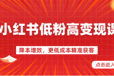 小红书低粉高变现课-降本增效，更低成本精准获客，小红书必爆的流量密码