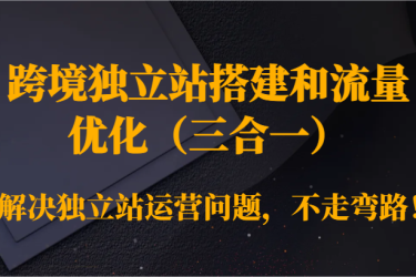 跨境独立站搭建和流量优化（三合一）解决独立站运营问题，不走弯路！